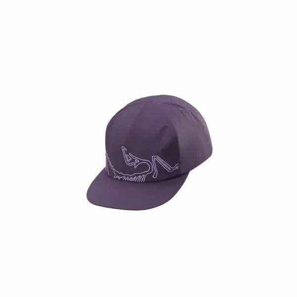 Ostatnie sztuki Czapka z daszkiem Arcteryx Silex Cap