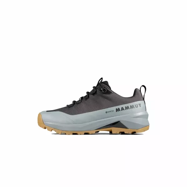 Ekspresowa dostawa Buty Mammut Ducan III Low GTX Men