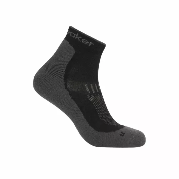 Skarpety Icebreaker Merino Hike+ Light Mini Men Niska cena