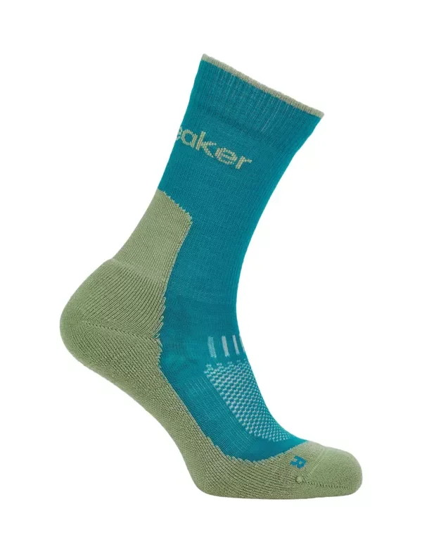 Ekspresowa dostawa Skarpety Icebreaker Merino Hike+ Light Crew Women
