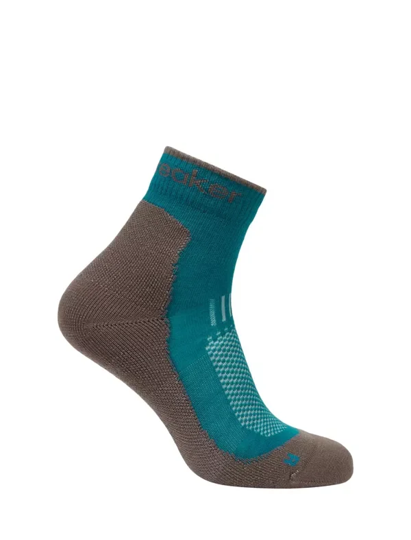 Nowy Skarpety Icebreaker Merino Hike+ Light Mini Women