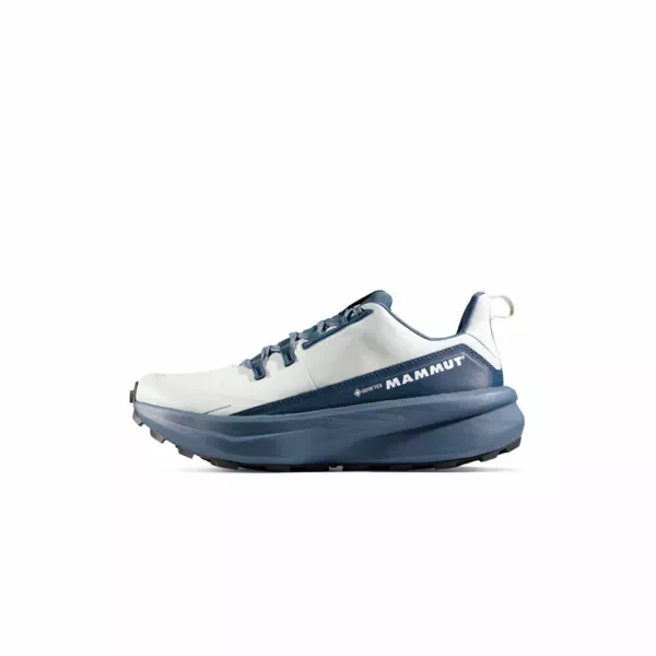 Super okazja Aenergy Hike Low GTX Women silver sage-dark strata.5.5