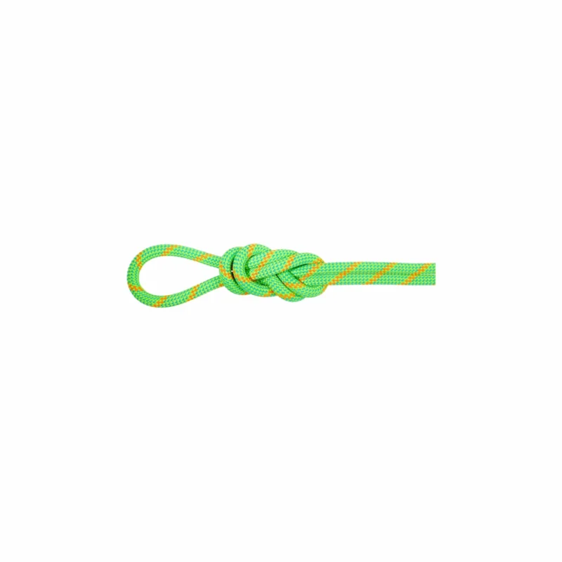 Lina dynamiczna Mammut 8.0 Alpine Dry Rope 60m Kup teraz