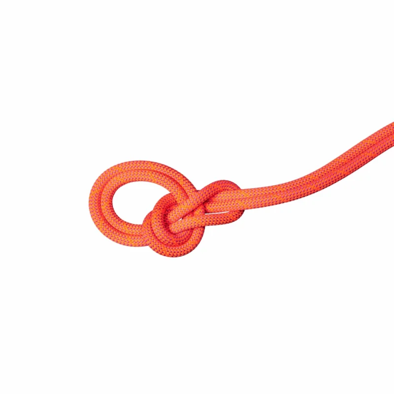 Bezpieczna płatność Lina dynamiczna Mammut 9.8 Crag Dry Rope 50m