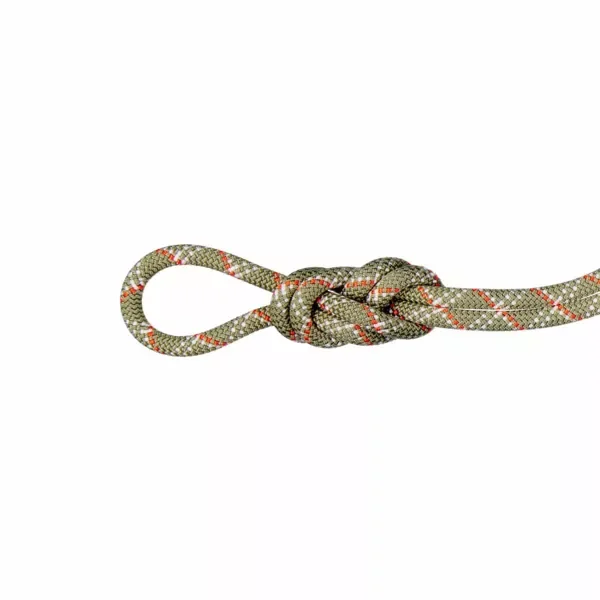 Lina dynamiczna Mammut 9.5 Gym Classic Rope 40m Premium