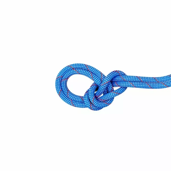Kup teraz Lina dynamiczna Mammut 9.5 Crag Classic Rope 80m