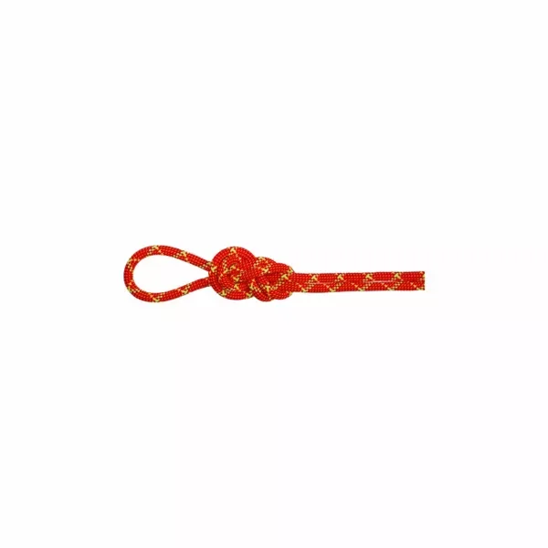 Oferta Lina dynamiczna Mammut 8.0 Alpine Core Protect Dry Rope 50m