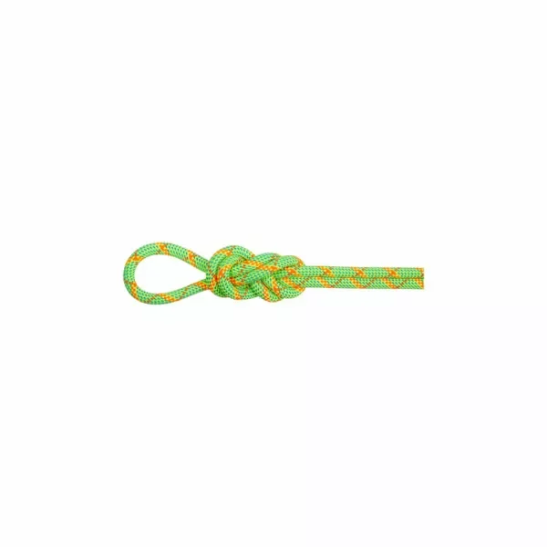 Kup teraz Lina dynamiczna Mammut 8.0 Alpine Core Protect Dry Rope 50m