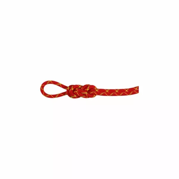 Zamów teraz 8.0 Alpine Core Protect Dry Rope Dry Standard.fire-halo.60 m