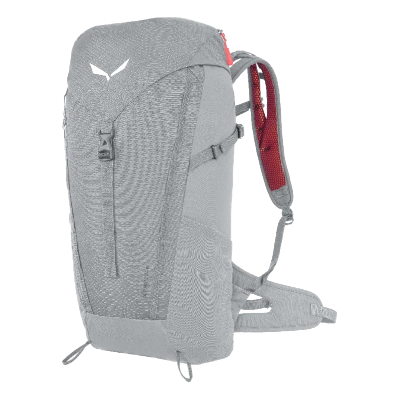Plecak Salewa Alp Mate 24 Ws - alloy Bezpieczna płatność