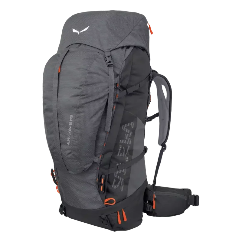 Plecak Salewa ALPTREK 65 +10 PRO BP - QUIET SHADE Kup online