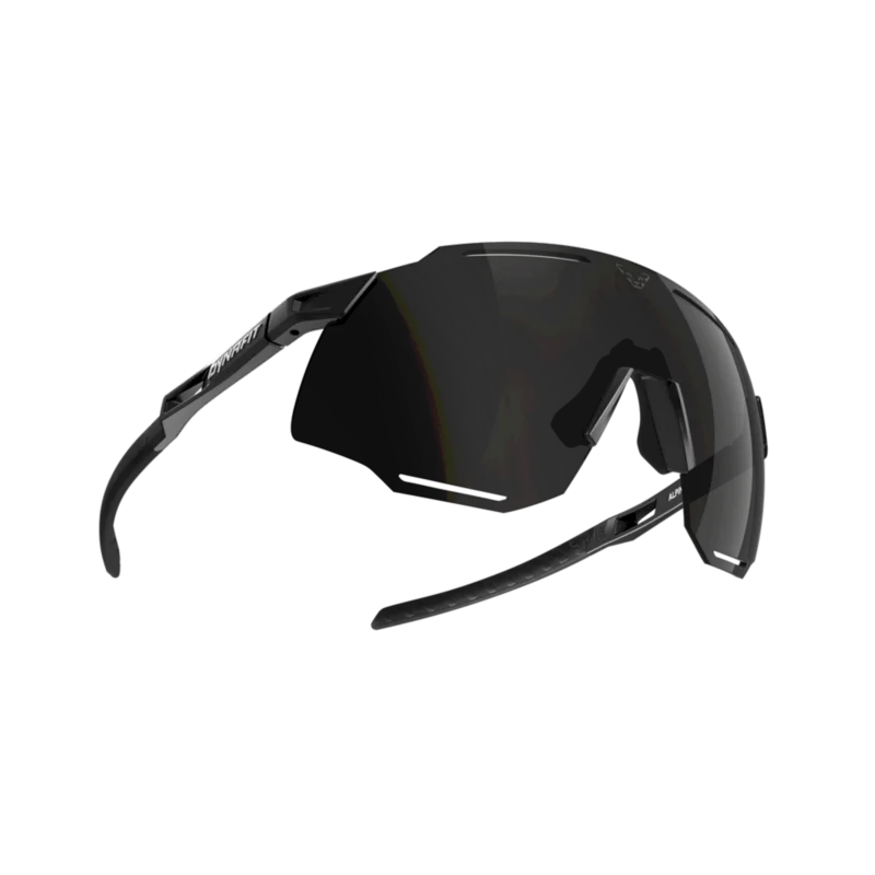 Okulary górskie Dynafit Alpine Sunglasses - Black Out / Nimbus Cat 3 Bestseller