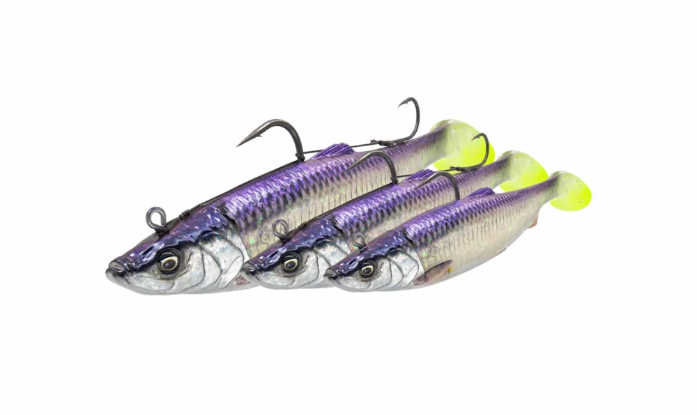 Savage Gear Guma 4D Herring Big Shad 220mm/200gr COALFISH Taniej