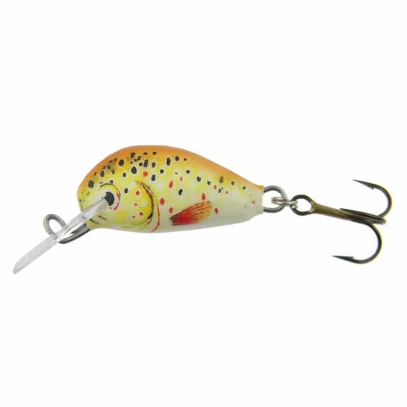 Rabat Dorado Wobler Alaska Pływający 2,5cm TR