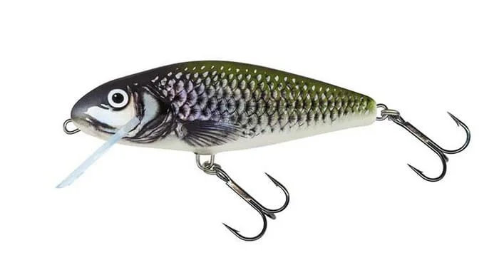 Salmo Wobler Perch Floating 8cm Holo Bleak Promocja