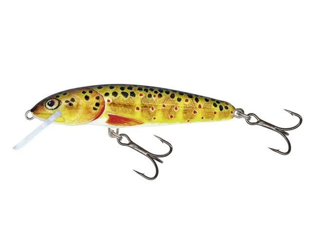 Bezpieczna płatność Salmo Wobler Minnow 5cm Tonący T