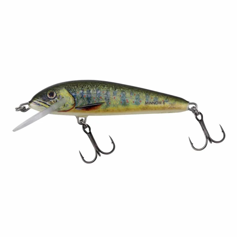 Salmo Wobler Minnow 5cm Tonący Lake Charr Ostatnia szansa