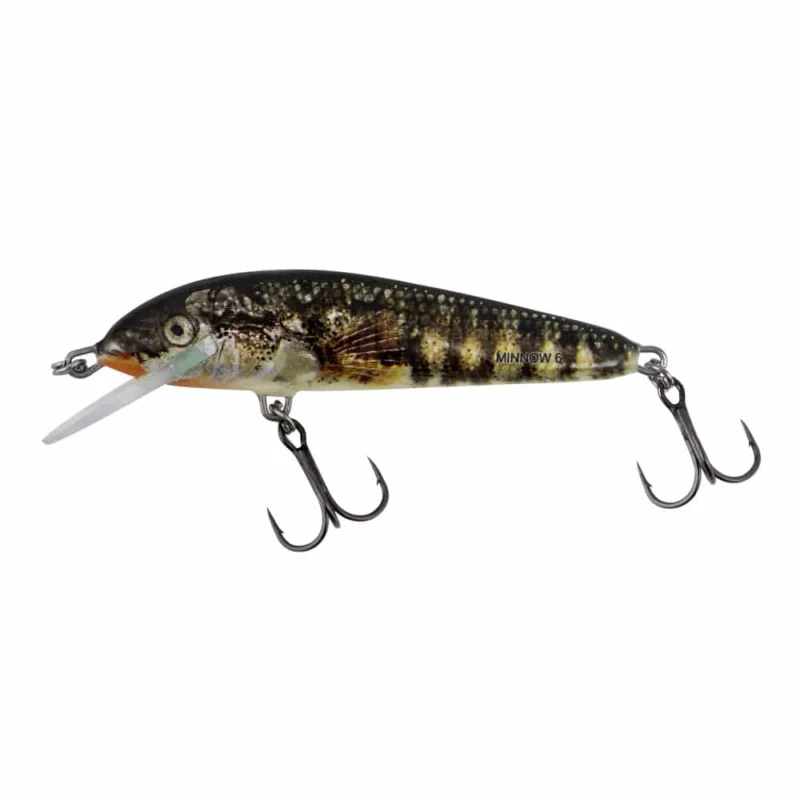 Salmo Wobler Minnow 7cm Pływający Holo Stickleback Wybór klientów