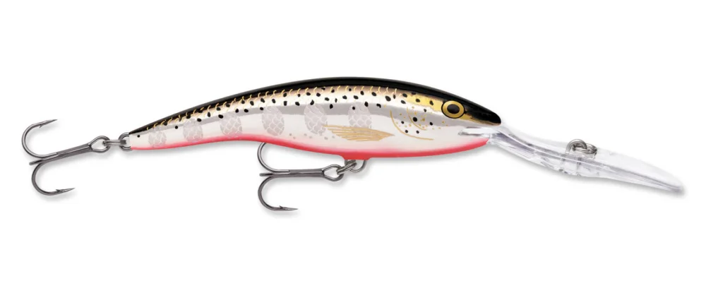 Zamów teraz WOBLER RAPALA DEEP TAIL DANCER 9cm/13g - SFL