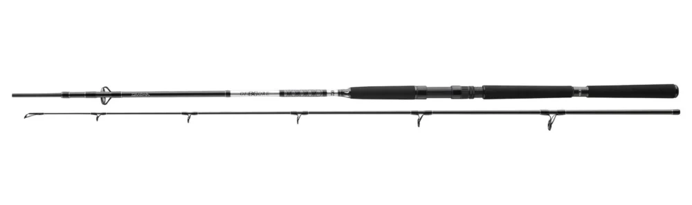 Wyprzedaż WĘDKA DAIWA BG OFFSHORE PILK 270/40-125g