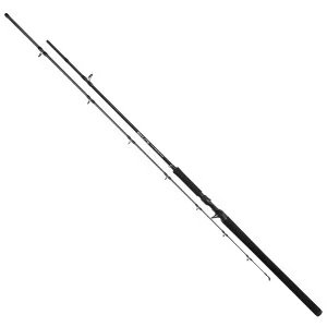 Taniej WĘDKA MIKADO CASTINGOWA - BIXLITE PIKE MASTER 240 c.w. 30-105g