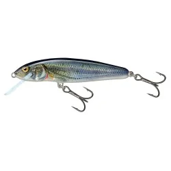 Ostatnia szansa Wobler Salmo Minnow Sinking 5cm/5g, Spirlin