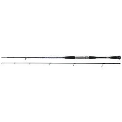 Hit sprzedaży Wędka Daiwa Tournament Sea Bass 8ft
